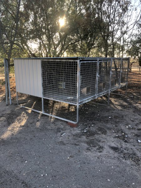 4 Bay Dog Kennel