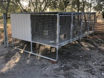 4 Bay Dog Kennel