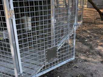 4 Bay Dog Kennel