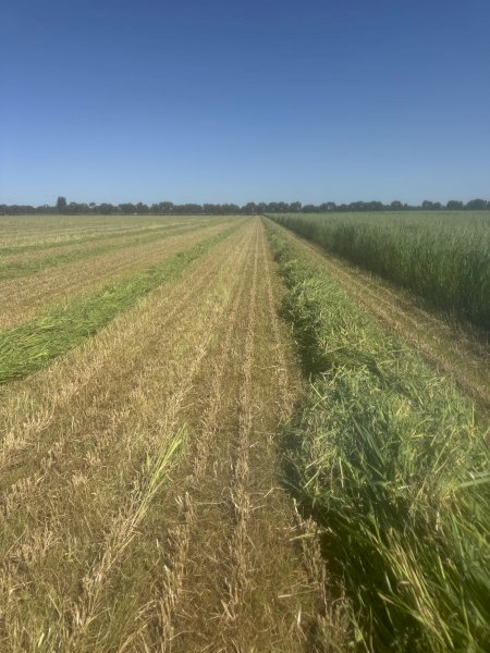 40 mt Oaten Hay  24/25 Season