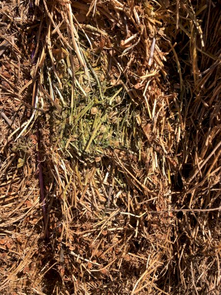 400mt Lentil Hay 625kg 8x4x3 Bales