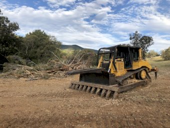 Heavy Duty Stick Rake