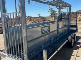 2021 Proway 6Mtr Contractor Bulk Sheep Handler