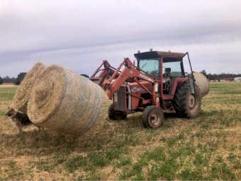 1986 Massey Ferguson 690 Tractor