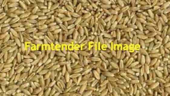 WANTED Triticale Seed
