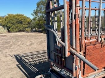 Mobile Cyclone Cattle Crush