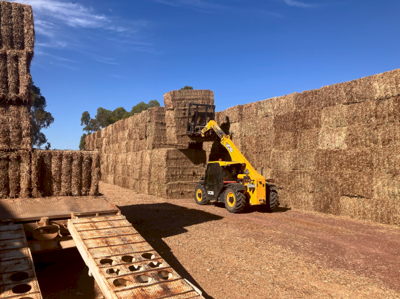 200mt Vetch Hay 620kg 8x4x3 Bales