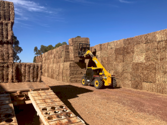 200mt Vetch Hay 620kg 8x4x3 Bales
