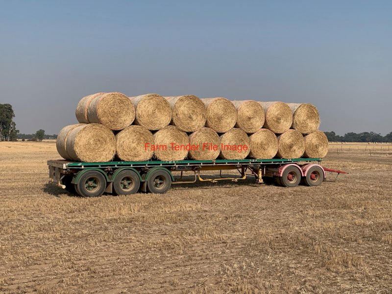 300 Wheaten Hay Rolls