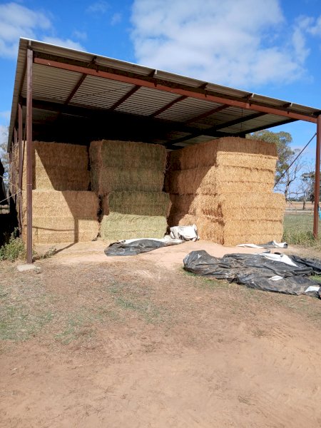 90MT Lucerne Hay 8X4X3 Large Square Bales
