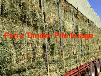 1000 Lucerne Hay Small Squares