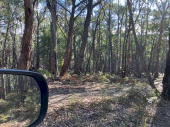 40 Acres of bushland with 1 Dam