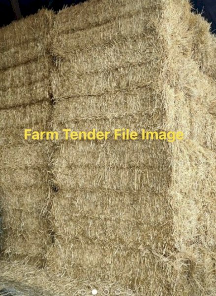EOI on Rice Straw