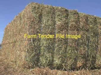 34 x Bales Barley Hay 8X4X3 Bales