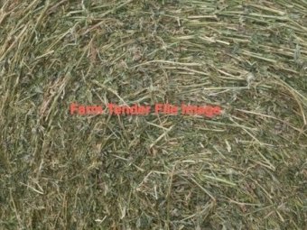 70 x Round Bales Lucerne with Rye and Clover