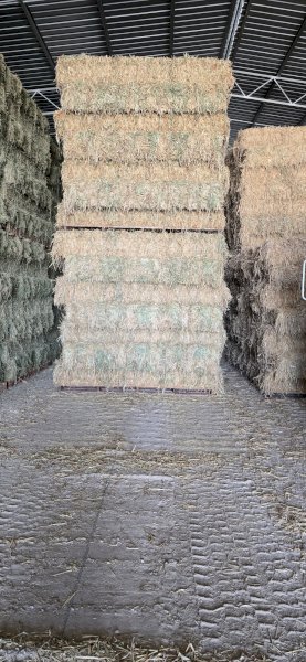 Oaten Hay small squares