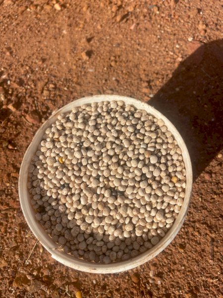 45MT Mandelup Lupins