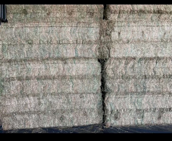 35mt Vetch Hay 720kg 8x4x3 Bales