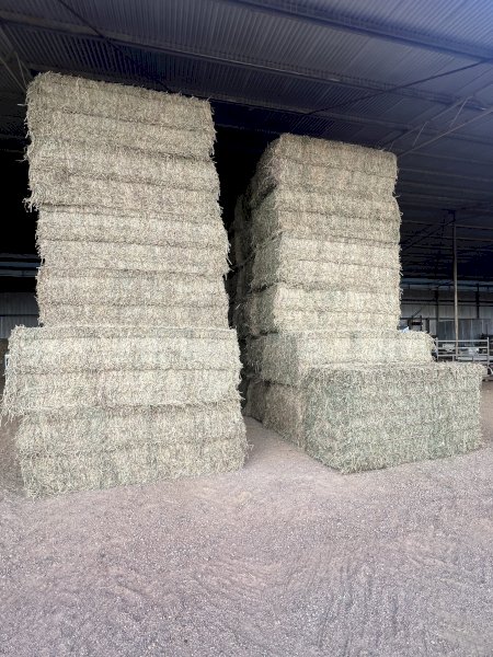 120 mt Irrigated Lucerne Hay