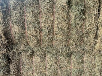 120 mt Irrigated Lucerne Hay