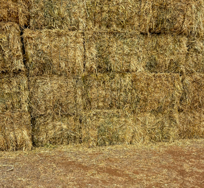 200mt Oaten Hay 560kg 8x4x3 Bales