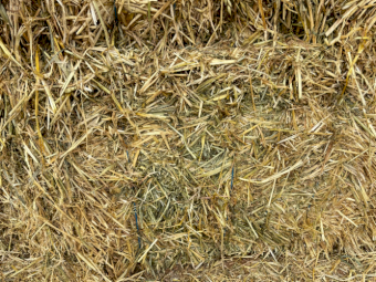 200mt Oaten Hay 560kg 8x4x3 Bales