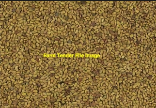 1000Kg Lucerne Seed