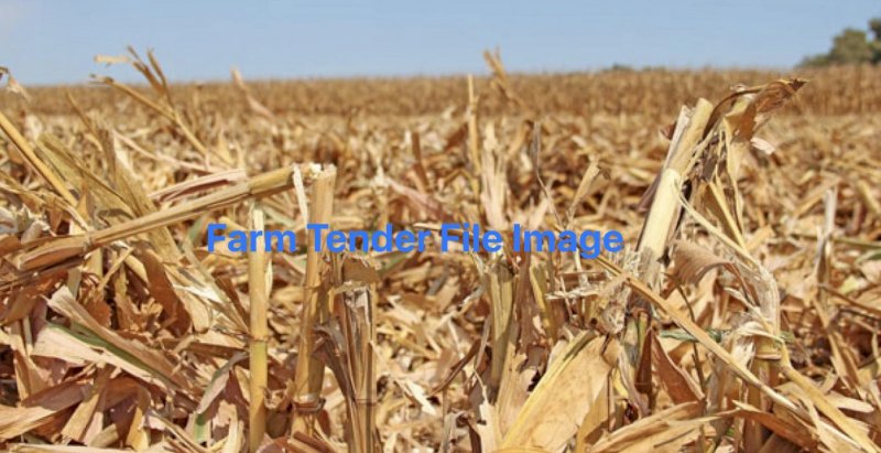 EOI on Corn Stubble