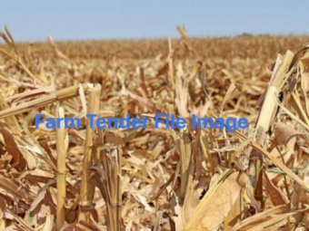 EOI on Corn Stubble