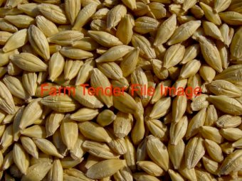 250mt BAR1 Barley