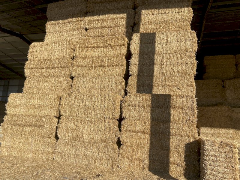 Header Trailed Wheaten Straw 24' Season