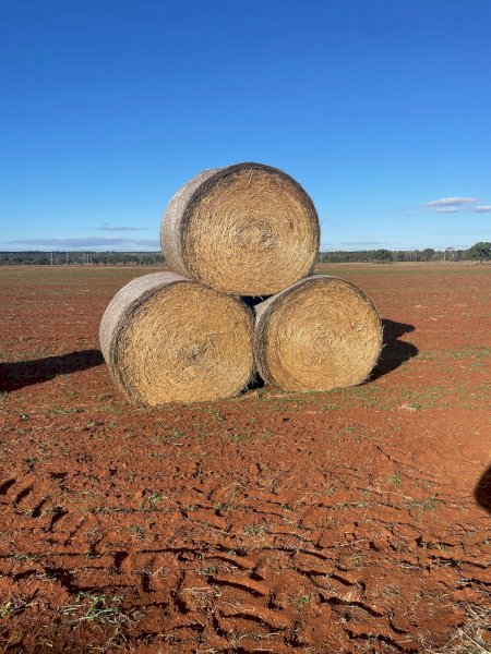 70 X Oaten Hay With Ryegrass 5X4 Round Bales
