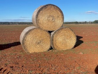 70 X Oaten Hay With Ryegrass 5X4 Round Bales