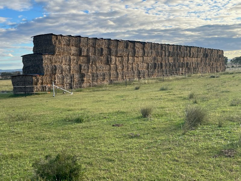 75MT Oaten Hay 8X4X3 Large Square Bales