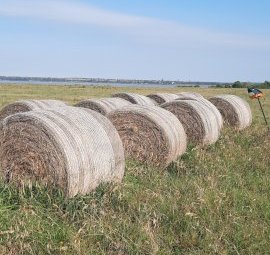 18 X Ryegrass Hay 5X4 Round Bales