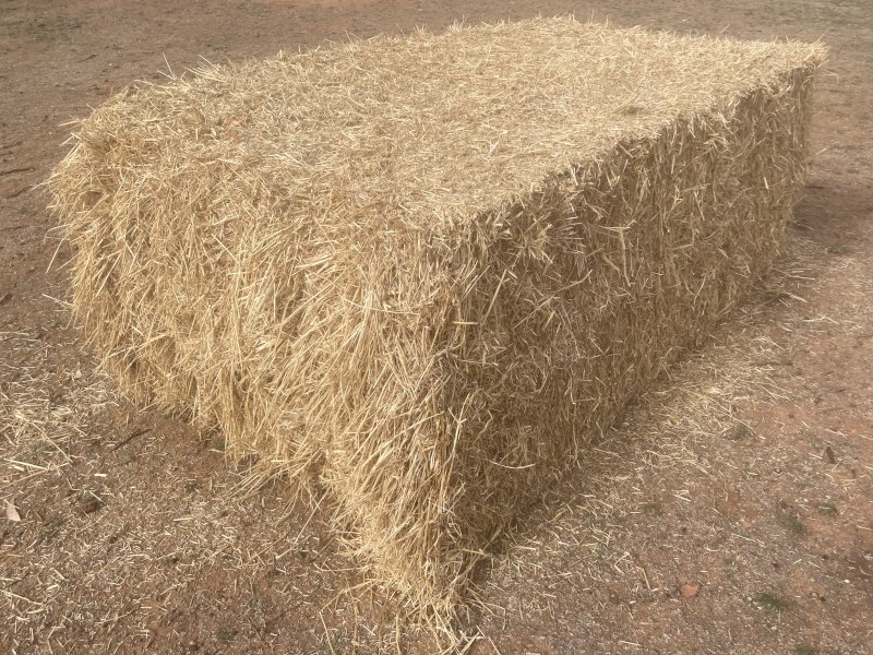 22/23 Season Barley Rye Grass and Clover Hay