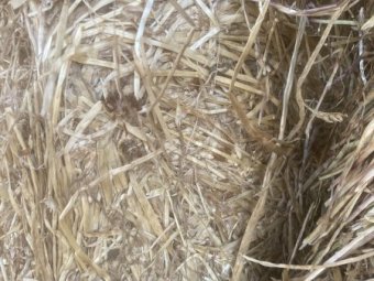 22/23 Season Barley Rye Grass and Clover Hay