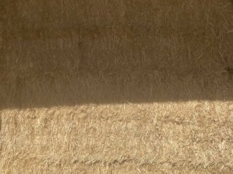 22/23 Season Barley Rye Grass and Clover Hay