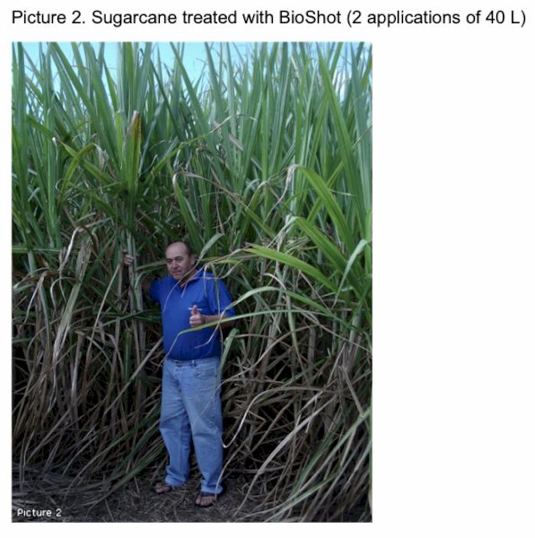 Bio-Shot