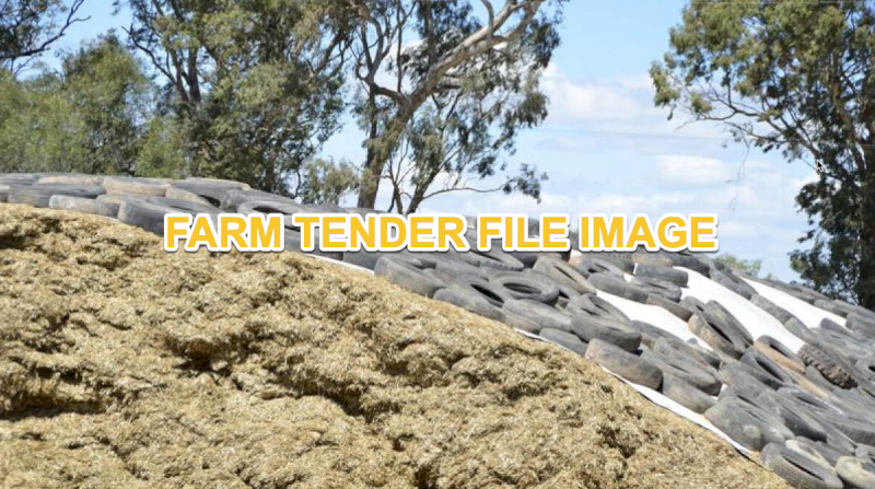 440mt Wheaten Pasture Pit Silage