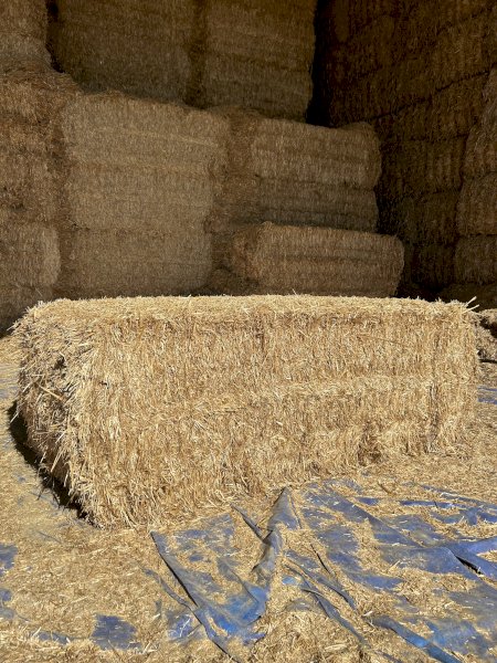 23' Season Header Tailing Oaten Straw 8x4x3 Bales
