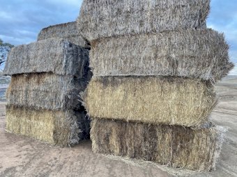 24 Bales of Wheaten Straw