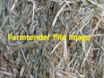 Beardless Wheaten Hay 8x4x3 Bales