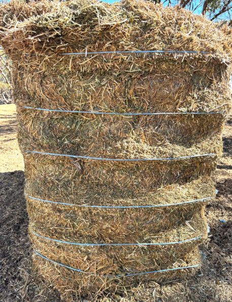 12 x Vetch Hay 670kg 8x4x3 Bales