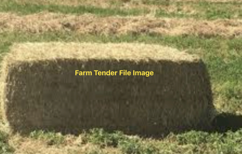 Quality Clover and Rye Hay