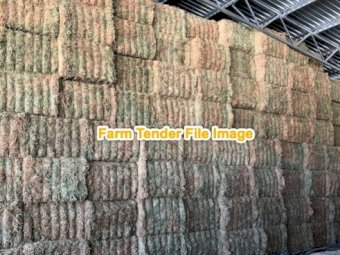 80 Bales Oaten Hay 8x4x3  Bales shedded