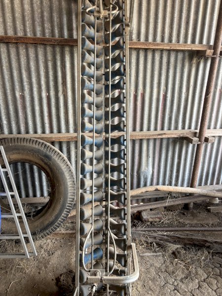 Lamb Marking Shute