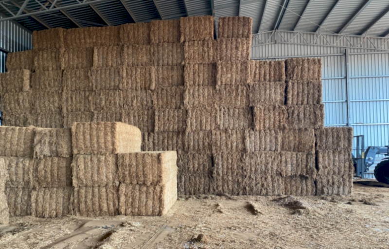 35mt Vetch Hay 590kg 8x4x3 Bales