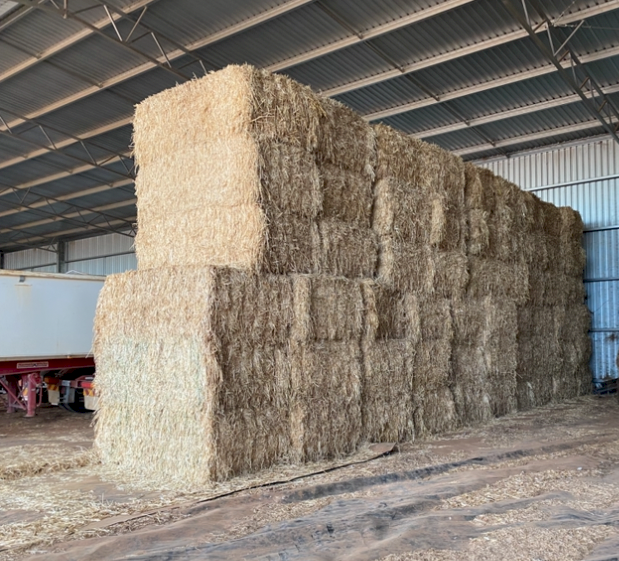 28mt Oaten Hay 680kg 8x4x3 Bales