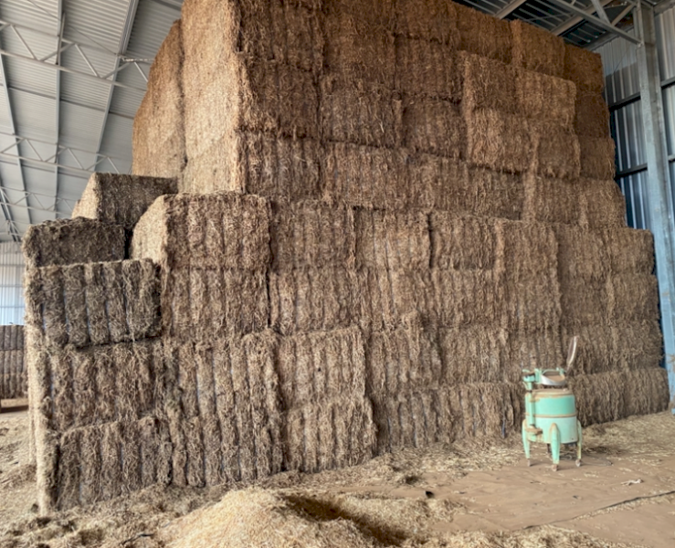 38mt Vetch Hay 635kg 8x4x3 Bales
